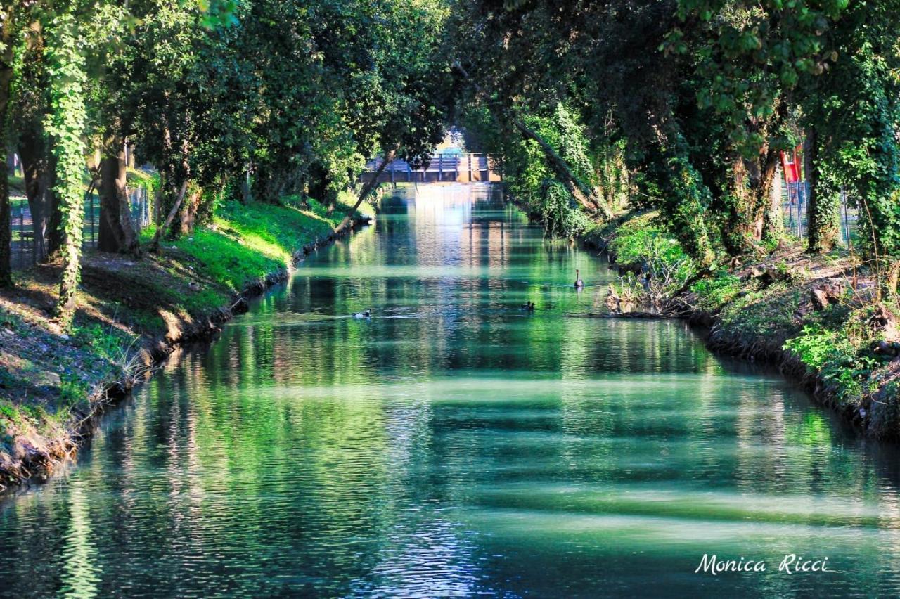 Il Gabbiano Giallo Fano Buitenkant foto