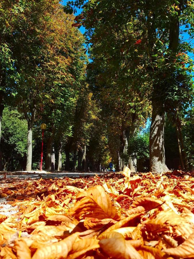 Il Gabbiano Giallo Fano Buitenkant foto